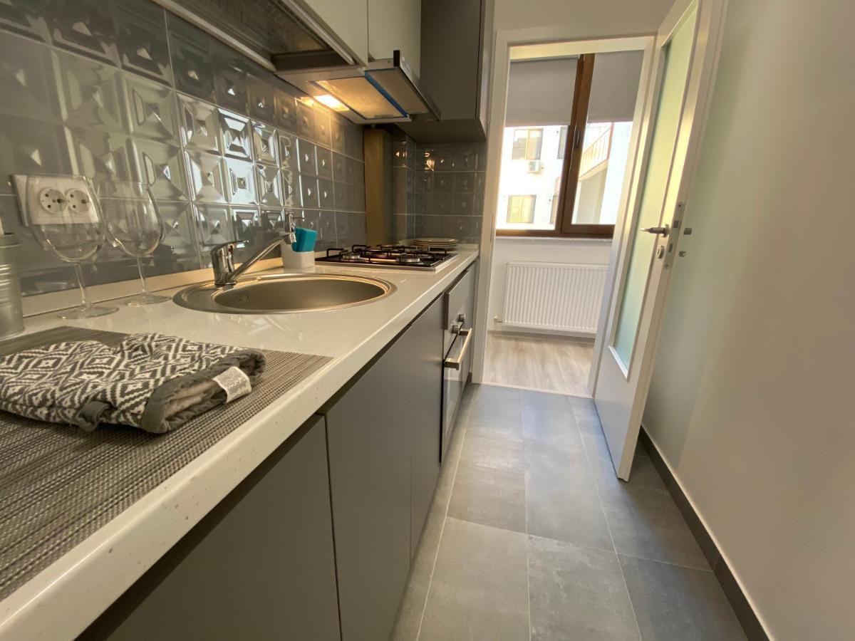 The Chic Minimalist - Apartment Iasi Exterior photo